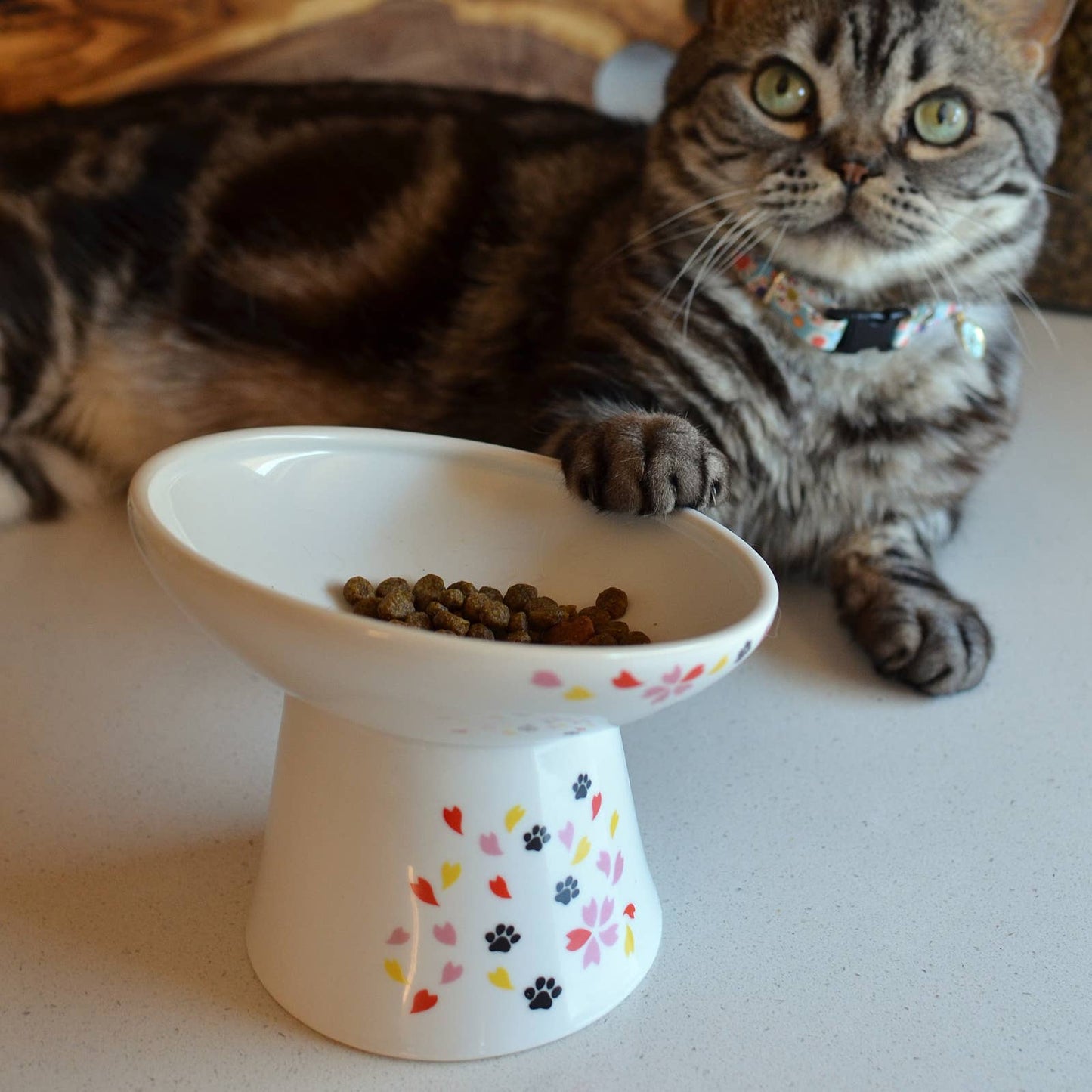 Tilted Stress Free Raised Cat Food Bowl (Sakura Edition)