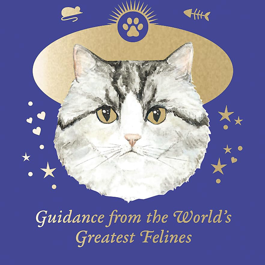 Cat Gurus (Mini Deck): Guidance from the World's Greatest Felines (Cards)