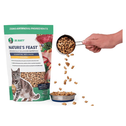 Dr. Marty Nature's Feast Freeze Dried Raw Cat Food Essential Wellness Poultry Recipe