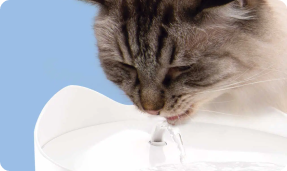 Catit Pixi Smart Water Fountain