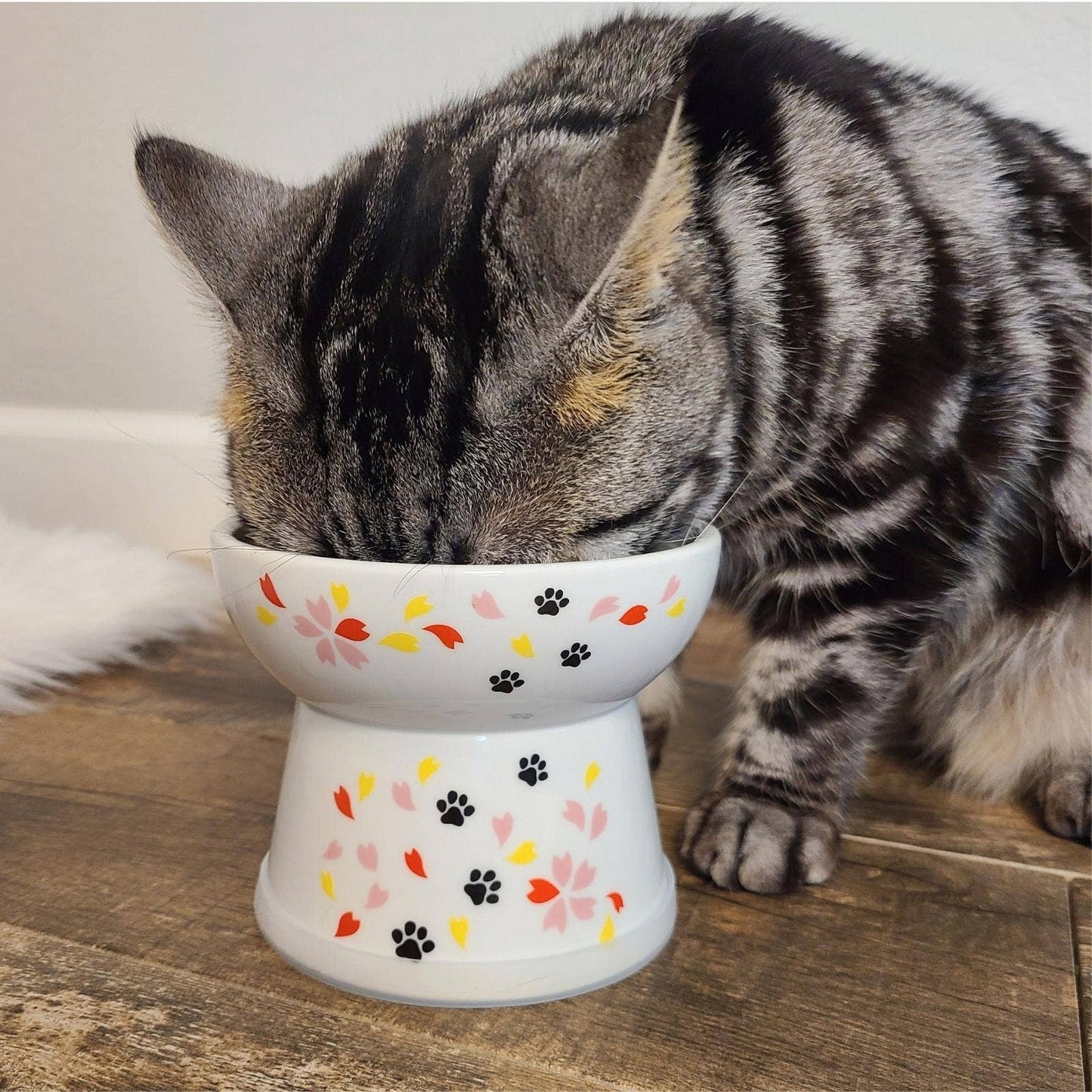 Raised Cat Food Bowl Large (Sakura Limited Edition)