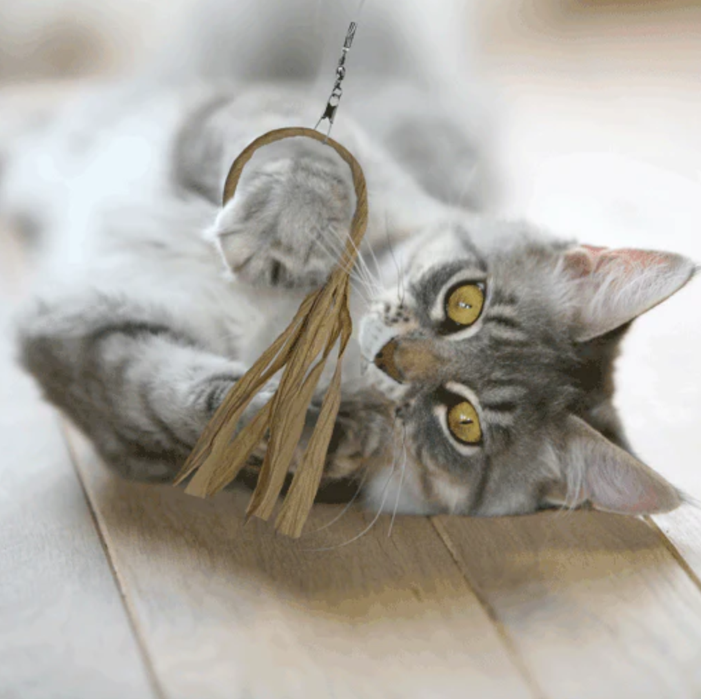 Dezi and Roo Flutter-Ring