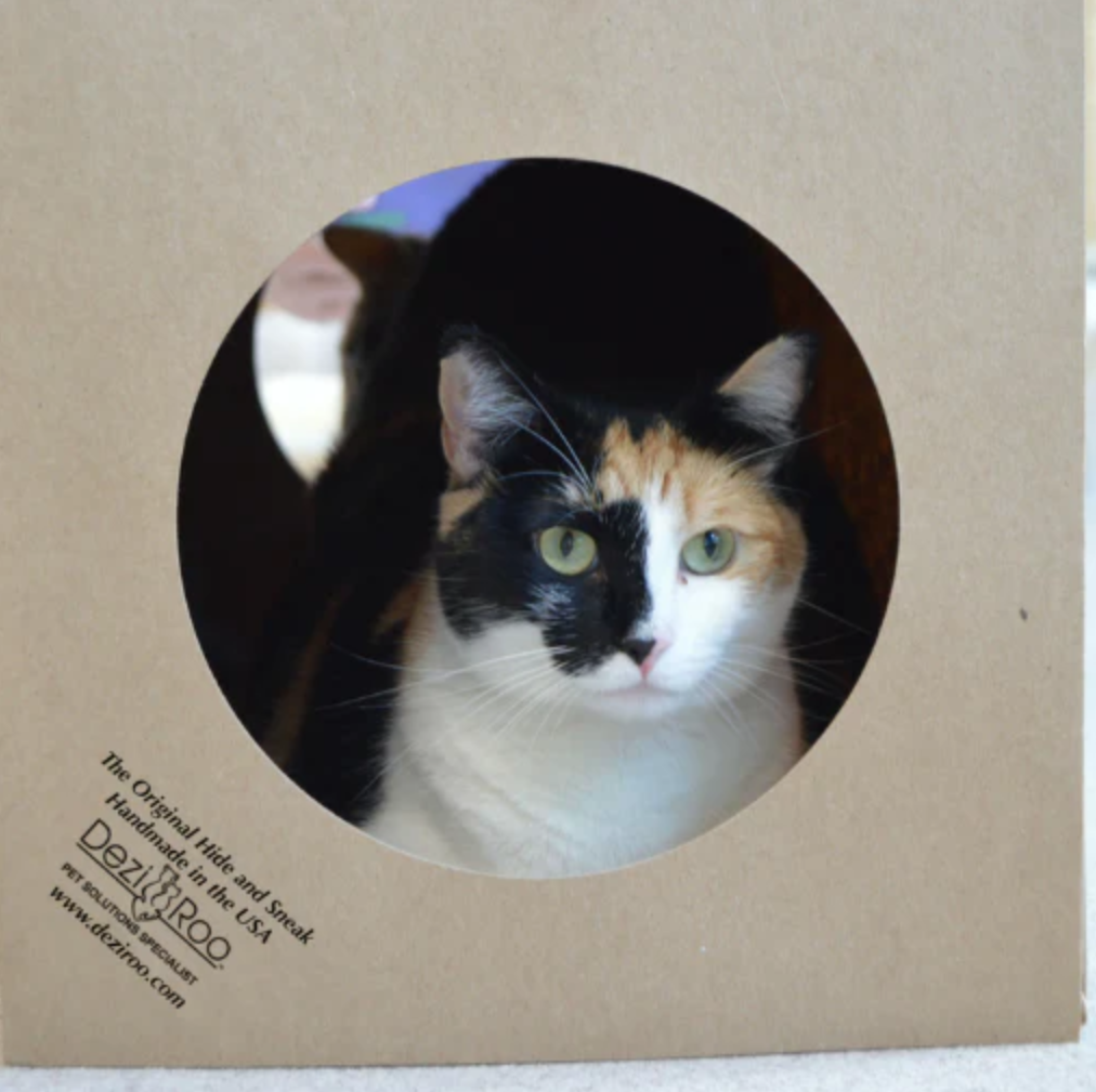 Dezi and Roo Hide and Sneak Cat Toy Tunnel
