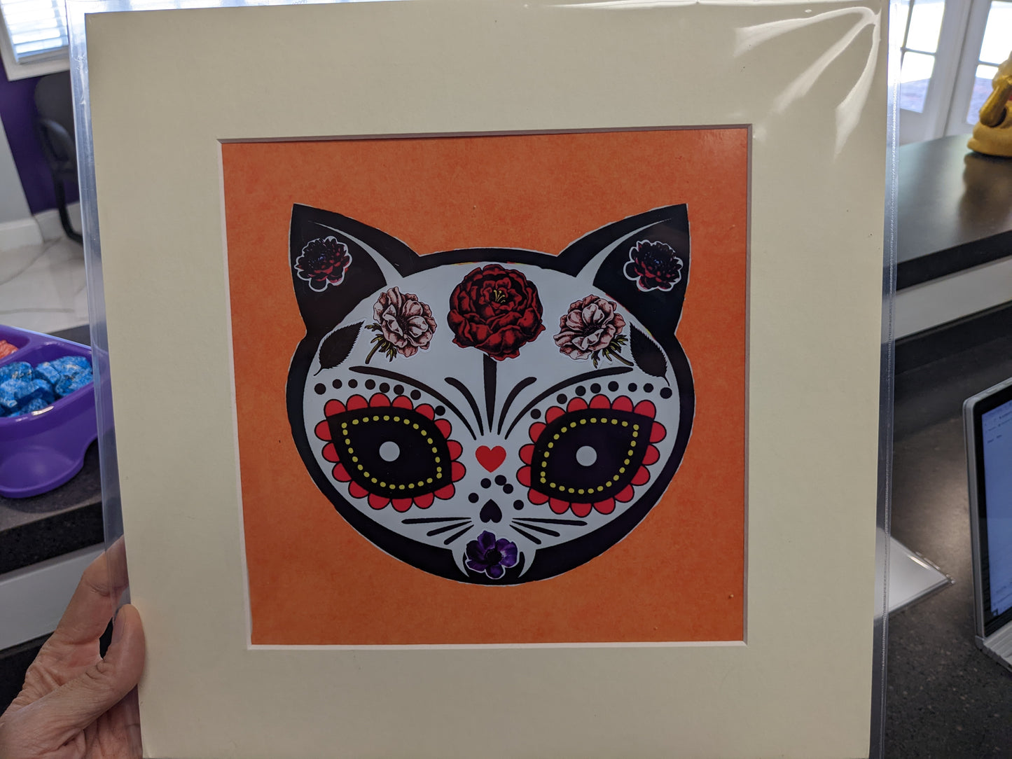 Cat Print - White Lighting Cat by Pamela Loudon