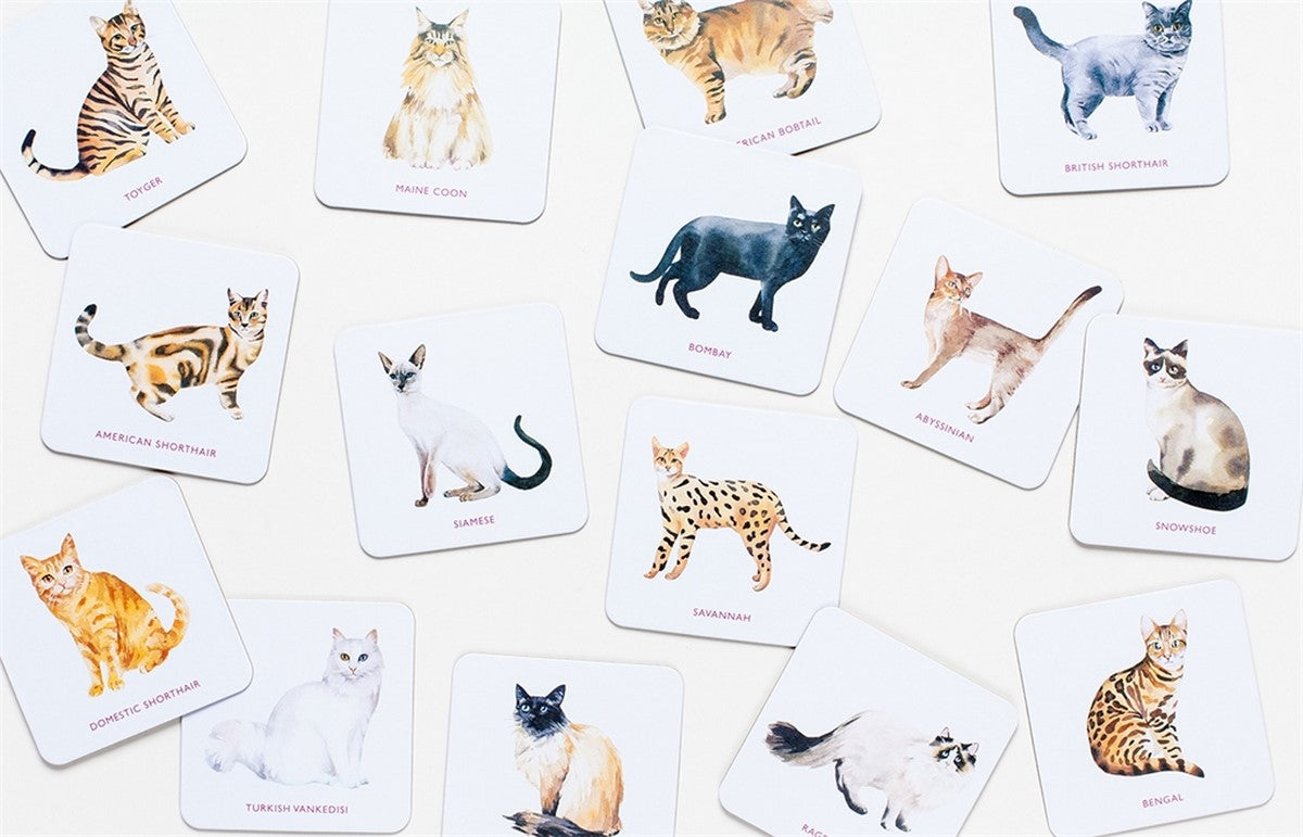 Cat Coasters