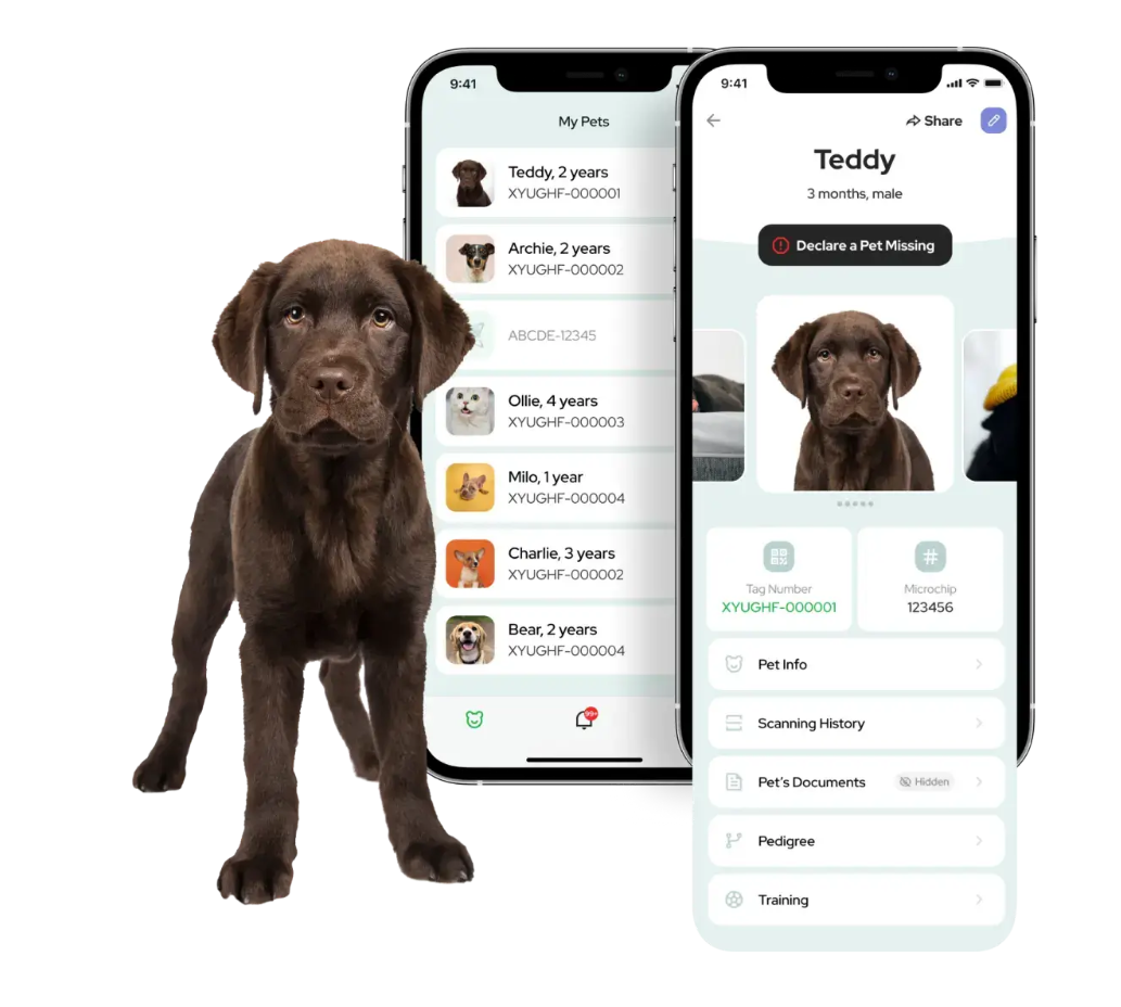 Global Pet Security QR Code Pet ID Tag