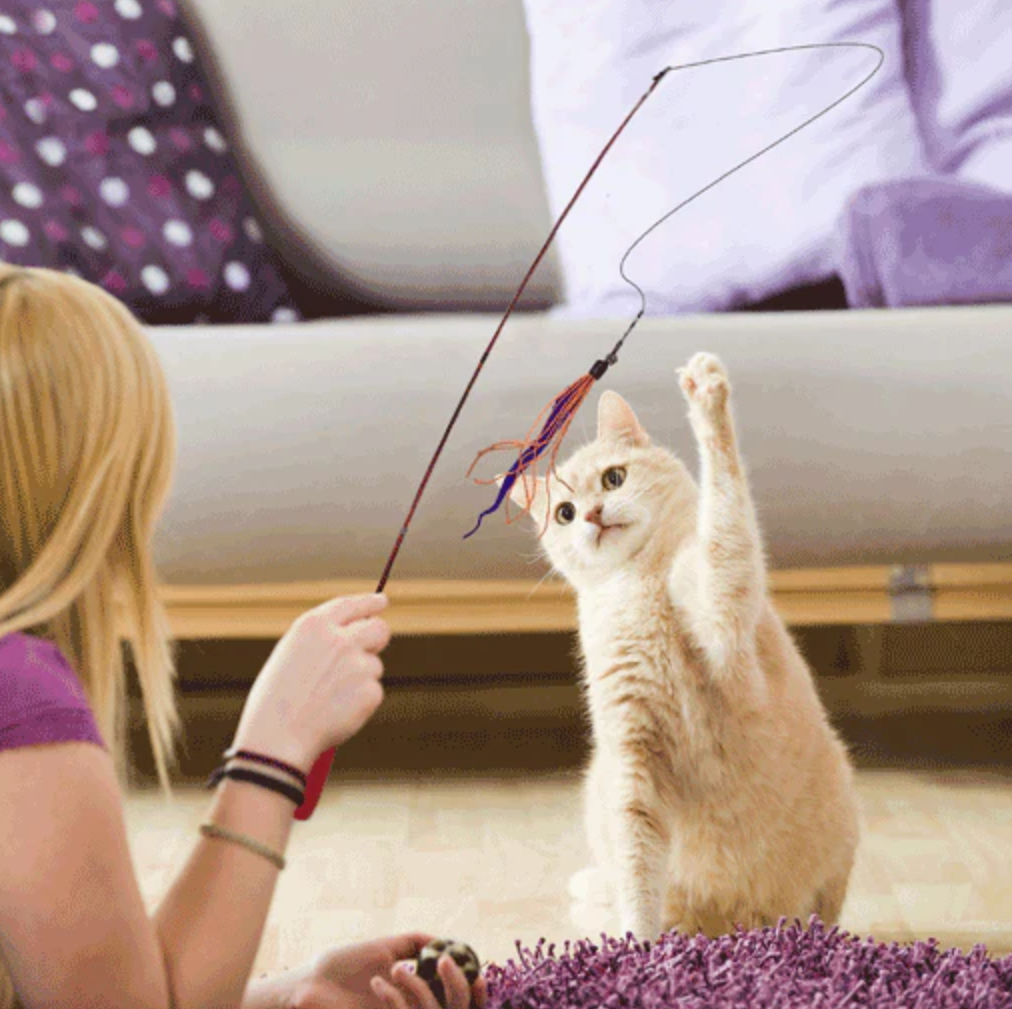 Dezi and Roo Wiggly Wand