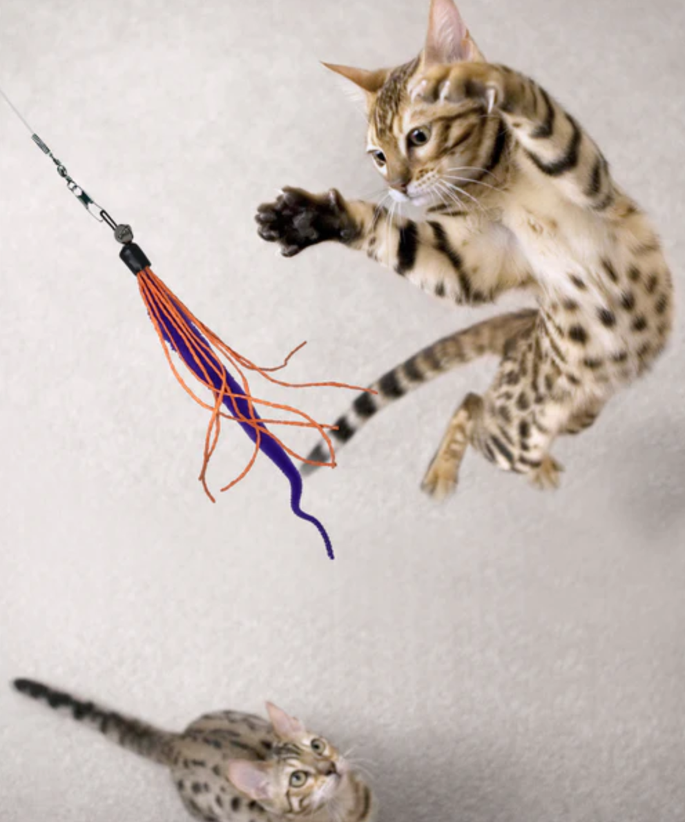 Dezi and Roo Wiggly Wand