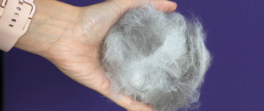 Spring Shedding Solutions: Help Your Cat Breeze Into Summer