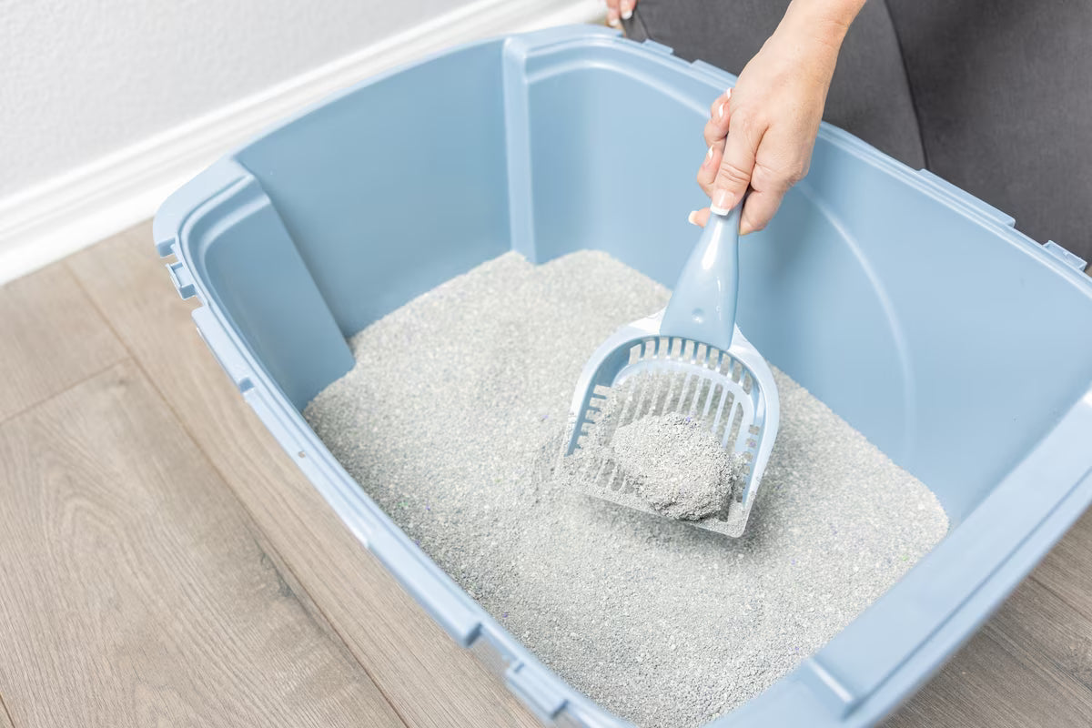 Litter Scooper Van Ness Pureness