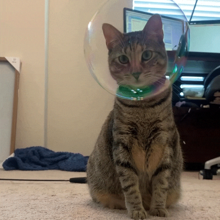 Meowijuana® Catnip & Honeysuckle Bubbles