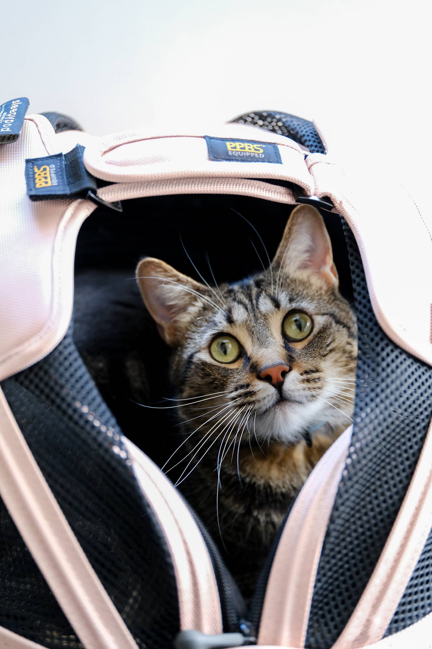 Sleepypod Mobile Pet Bed