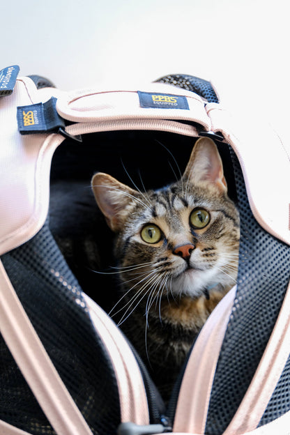 Sleepypod Mobile Pet Bed