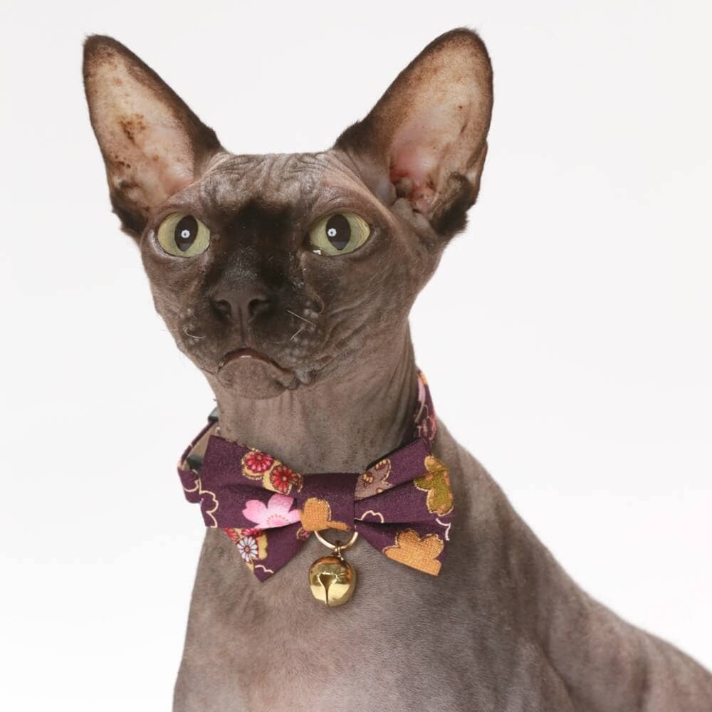 Kimono Bow Tie Cat Collar (Purple)