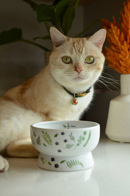 Raised Cat Water Bowl (Go Green)