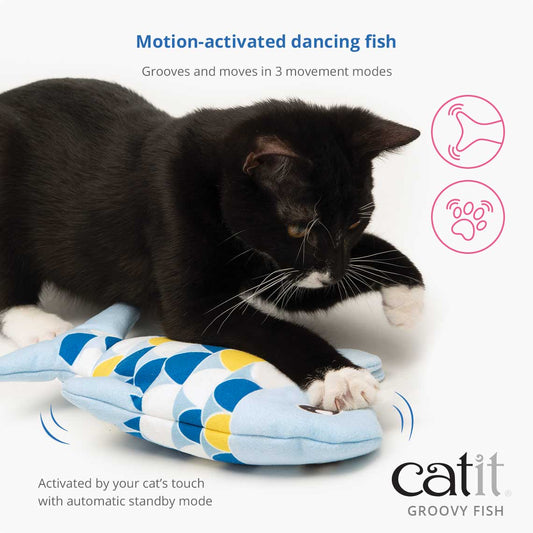 CatIt - Groovy Fish