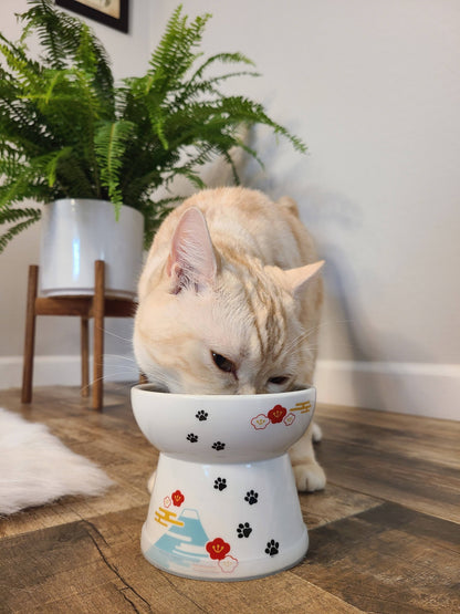 Raised Cat Food Bowl Large (Fuji Limited Edition)