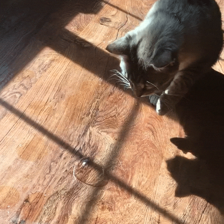 Meowijuana® Catnip & Honeysuckle Bubbles