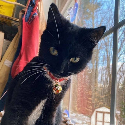 Chirimen Temari Dynasty Cat Collar (Red)