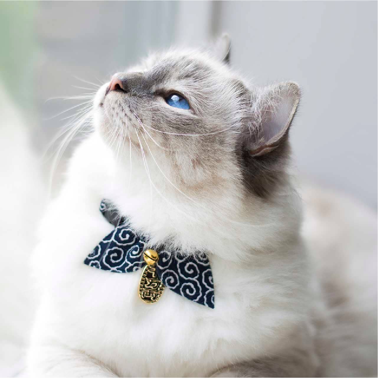 Ninja Cat Collar (Navy)