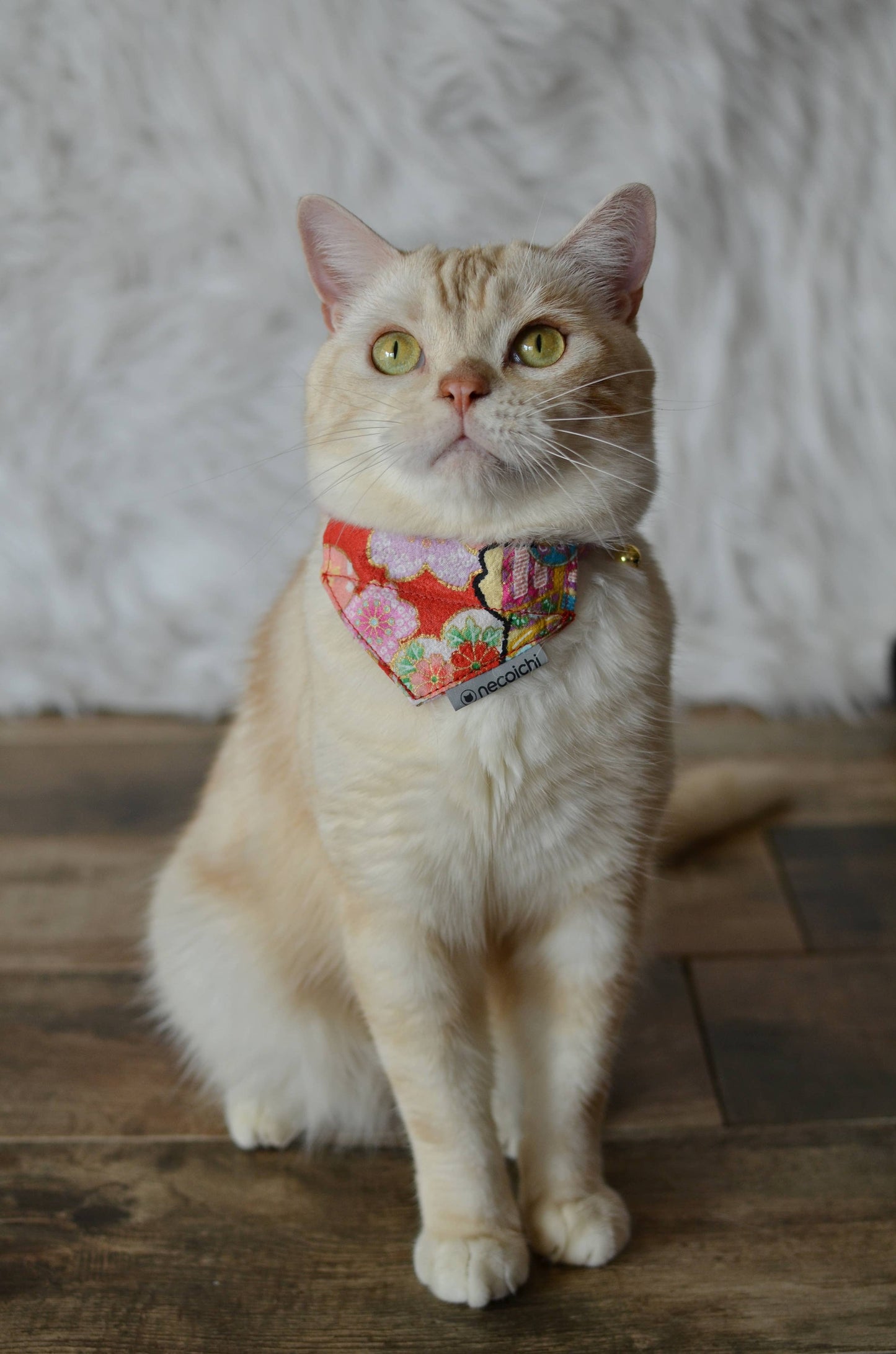 Bandana Cat Collar With Air Tag Pocket (Blossoms Red)