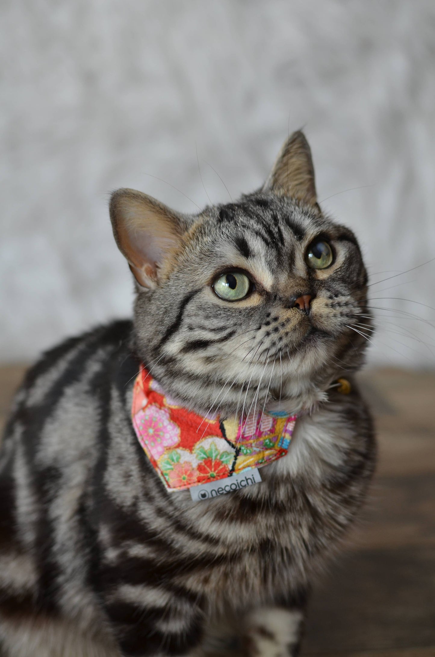 Bandana Cat Collar With Air Tag Pocket (Blossoms Red)