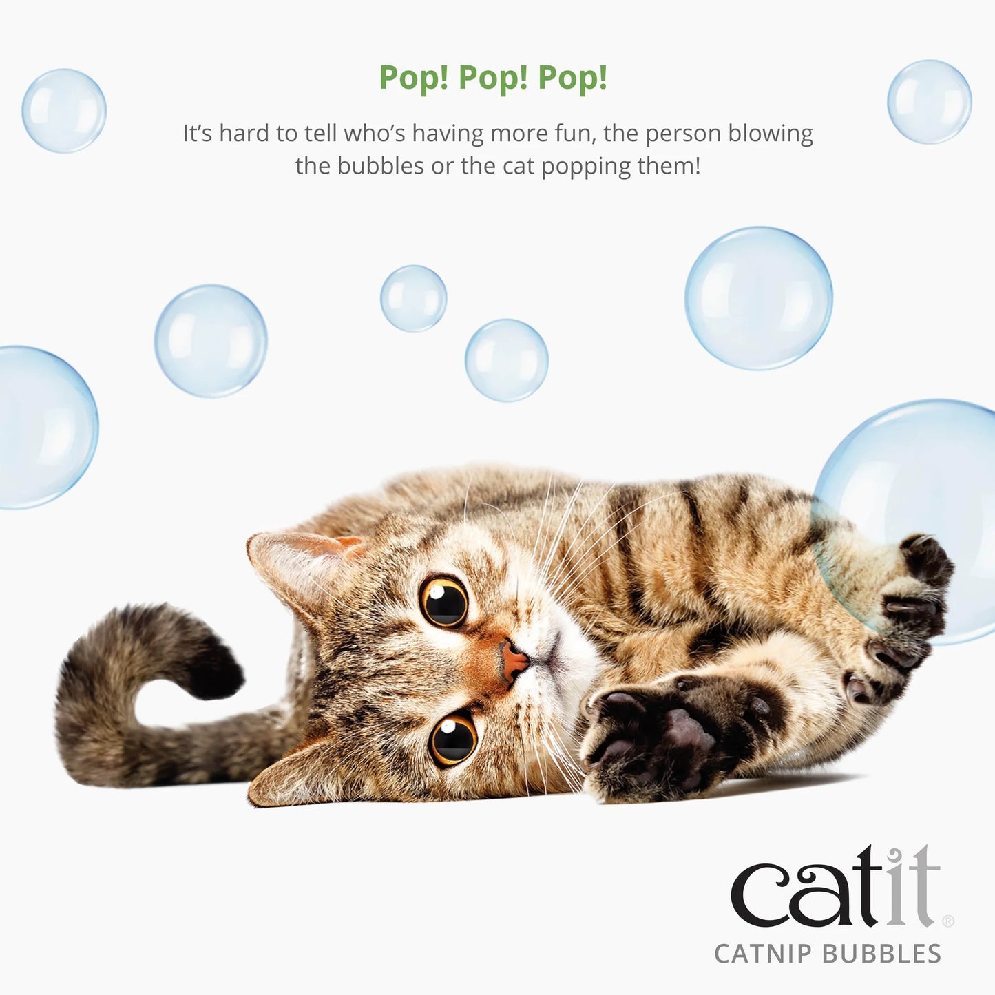 Catit Catnip Bubbles
