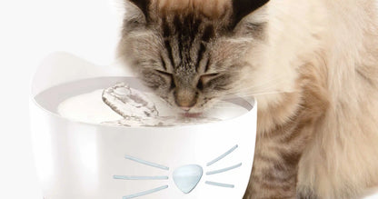 Catit Pixi Water Fountain Stainless Steel Top