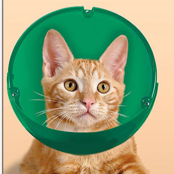 Kitty Cone - Soft Paws E-Collar