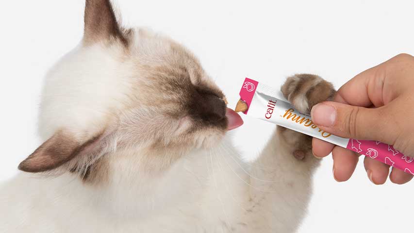 Catit Creamy Superfoods Treats