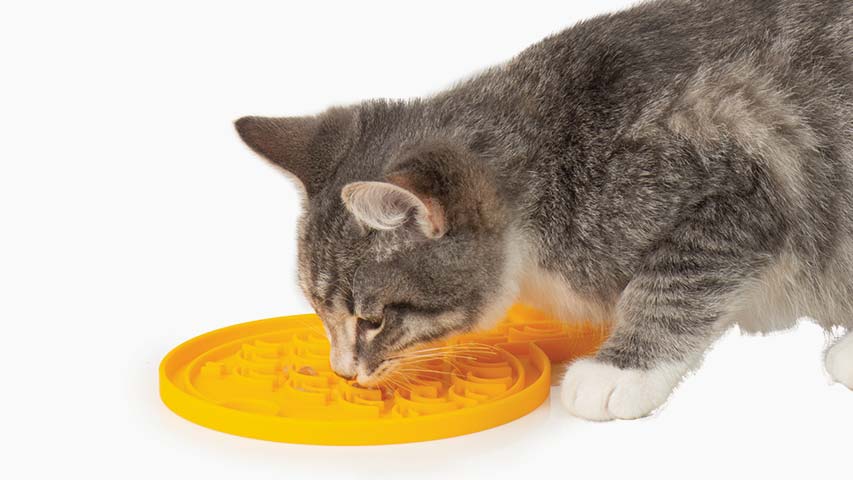 Catit Creamy Superfoods Treats