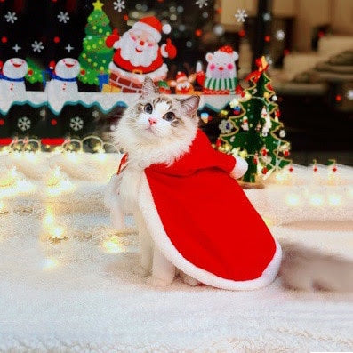 Cat Hooded Santa Cape