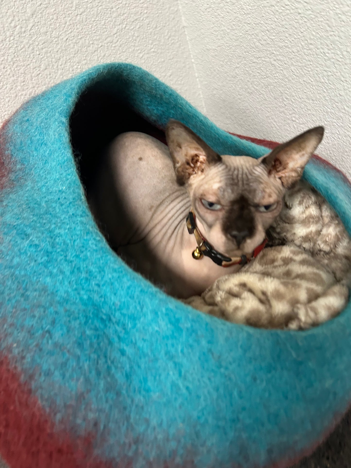 VIPurr Monthly Membership