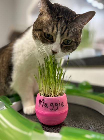 VIPurr Monthly Membership