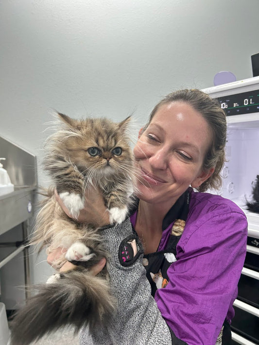 Cat Care Basics Class