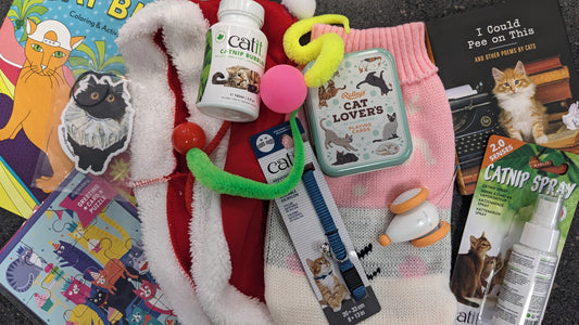 Blind Bag! Surprise gifts for you and your cat!