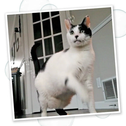 Meowijuana® Catnip & Honeysuckle Bubbles