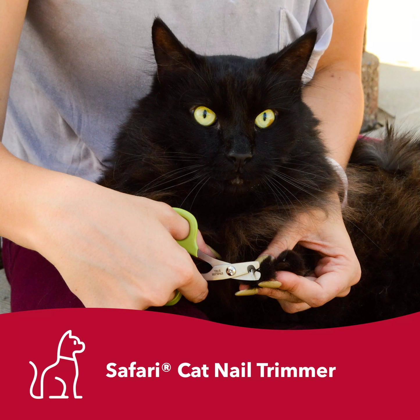 Safari by Coastal Cat Nail Trimmers