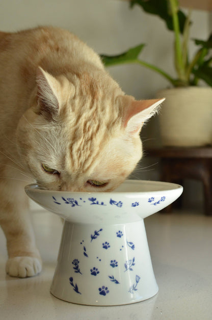 Tilted Stress Free Raised Cat Food Bowl (Nordic Blue)