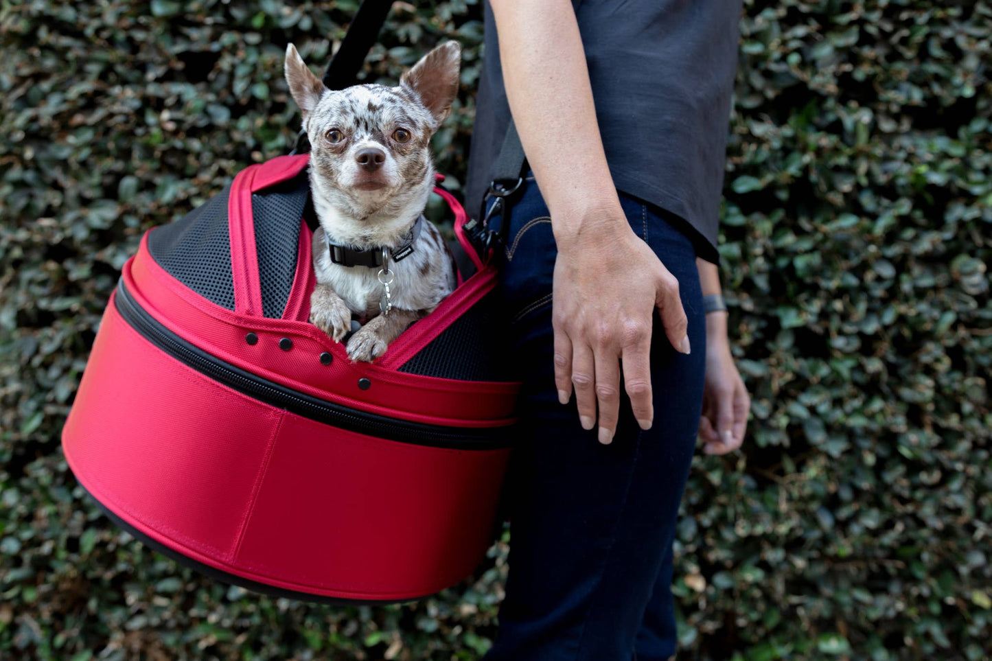 Sleepypod Mobile Pet Bed