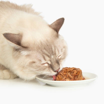 Catit Chicken Dinners