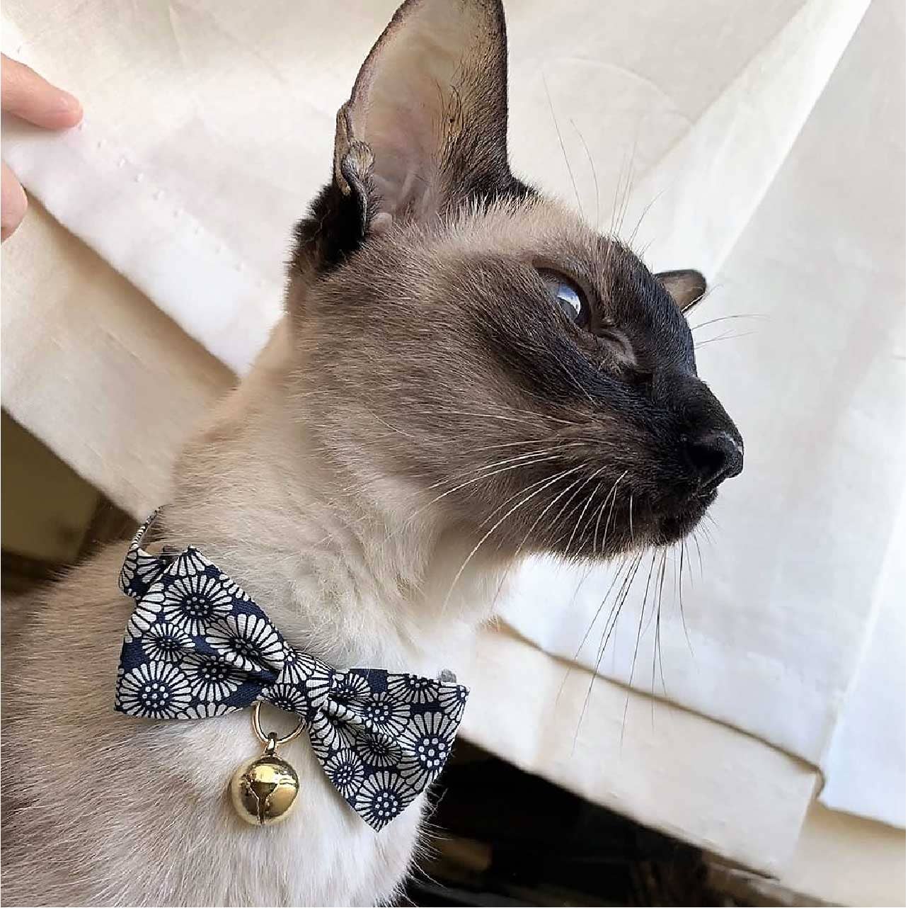 Kiku Ribbon Bow Tie Cat Collar (Navy)