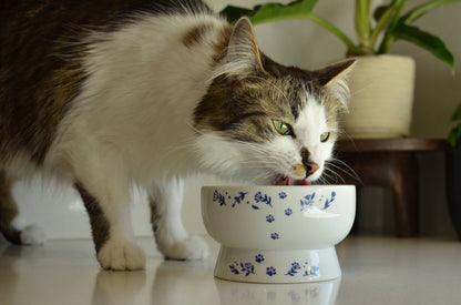Raised Cat Water Bowl (Nordic Blue)