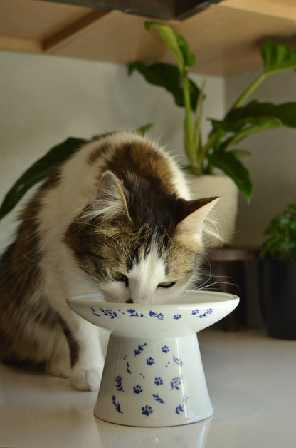 Tilted Stress Free Raised Cat Food Bowl (Nordic Blue)