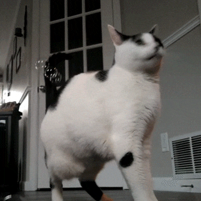 Meowijuana® Catnip & Honeysuckle Bubbles