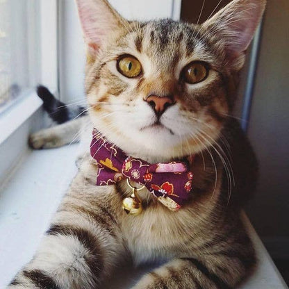 Kimono Bow Tie Cat Collar (Purple)