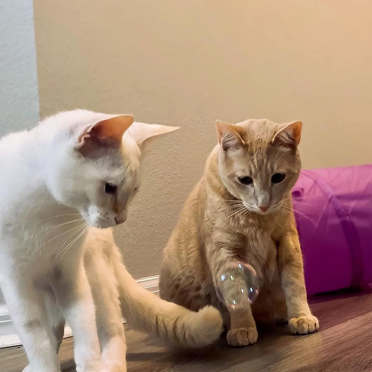 Meowijuana® Catnip & Honeysuckle Bubbles