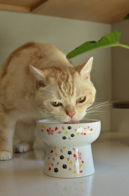 Extra Tall Raised Cat Water Bowl (Sakura Limited Edition)