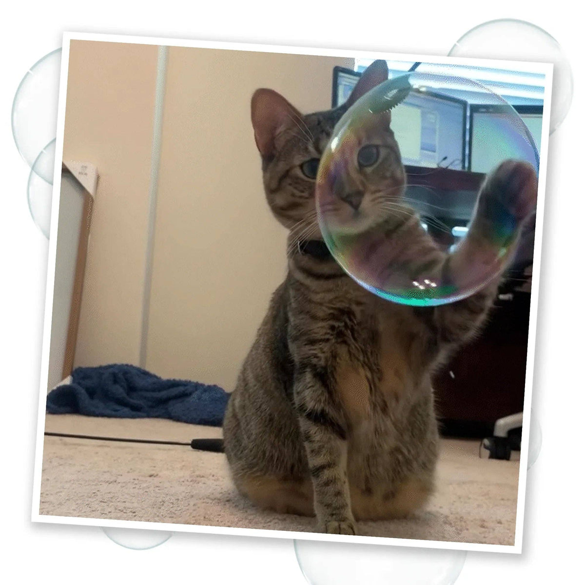 Meowijuana® Catnip & Honeysuckle Bubbles