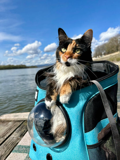 "The Fat Cat" Cat Backpack in Aqua - For Larger Cats